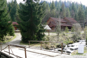 Біля водоспаду Шипіт, Пилипець